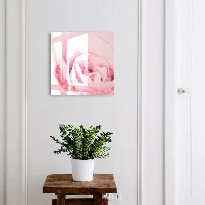 Ružová lahôdka s kvapkami rosy