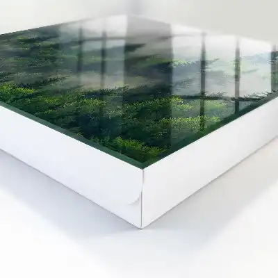 Hmlistý les, tajomná atmosféra