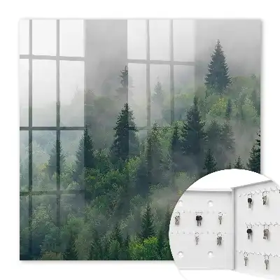 Hmlistý les, tajomná atmosféra