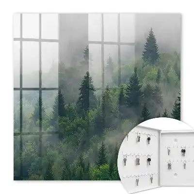 Hmlistý les, tajomná atmosféra