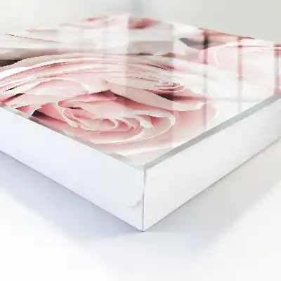 Pastelové odtiene ružovej
