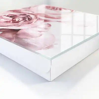 Ružová kráska plná elegancie