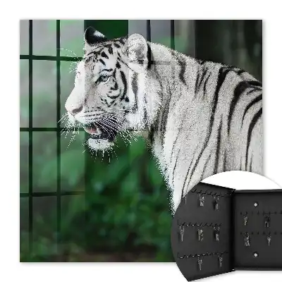 Biely tiger v zelenom prostredí
