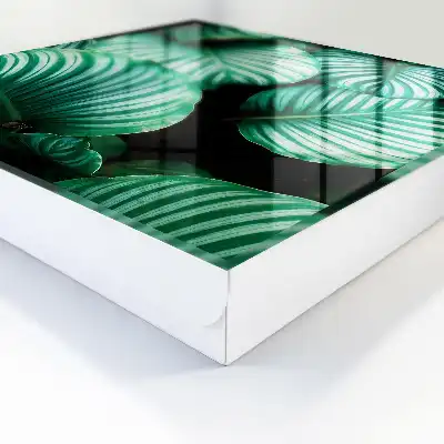 Štruktúra zeleného listu