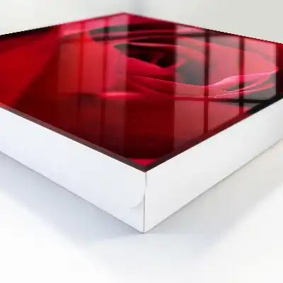Detailný záber na ružové lupene