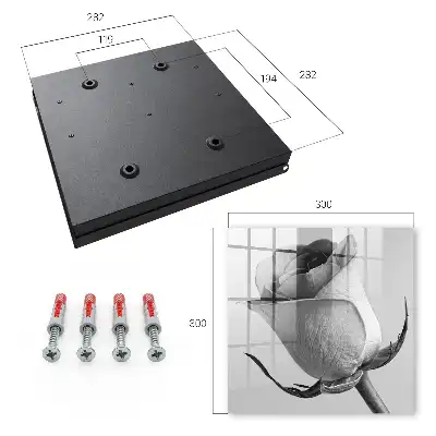 Ružová elegancia minimalizmus príroda