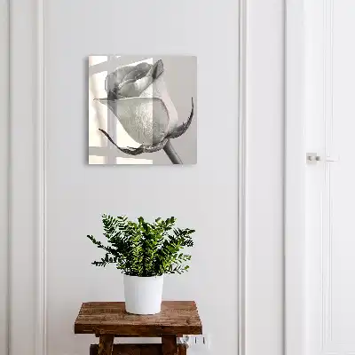 Ružová elegancia minimalizmus príroda