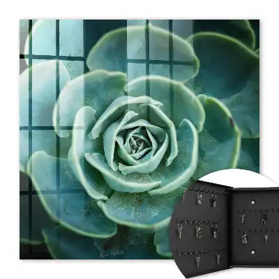 Zelená rozeta ideálna na relaxáciu