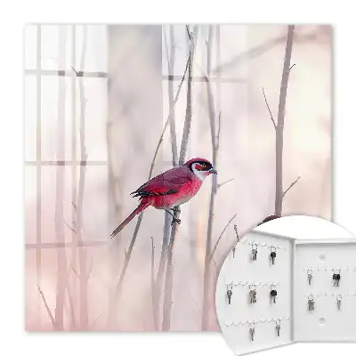 Dva vtáky jemných farieb