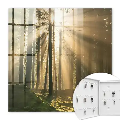 Lesné svetlo s magickou atmosférou