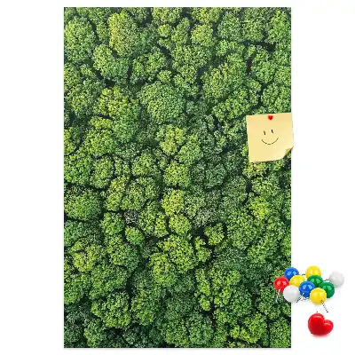 Korková tabuľa Lesná povaha stromu