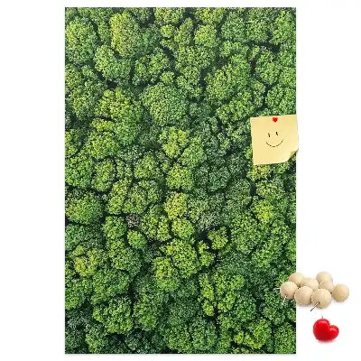 Korková nástenka Lesná povaha stromu