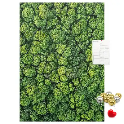 Korková nástenka Lesná povaha stromu