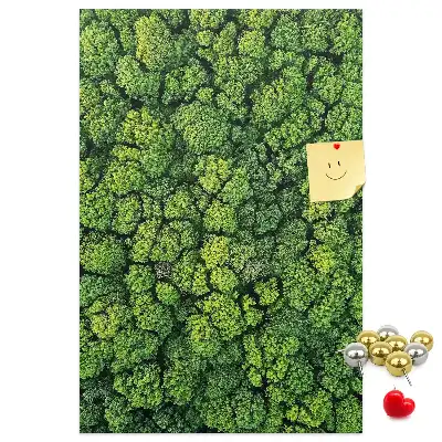 Korková nástenka Lesná povaha stromu