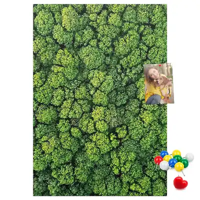 Korková nástenka Lesná povaha stromu