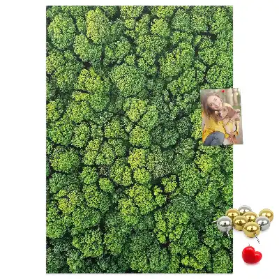 Korková nástenka Lesná povaha stromu