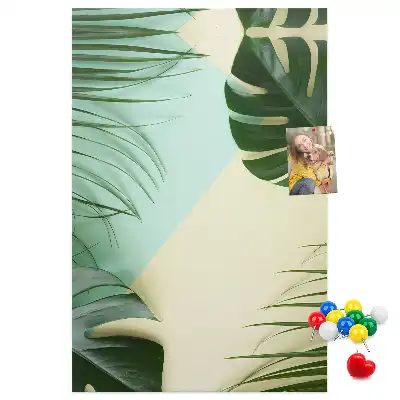 Nástenka Tropická monstera