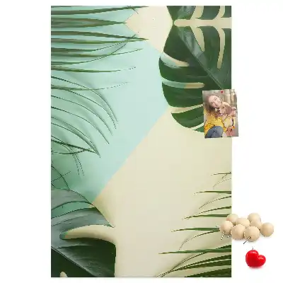 Nástenka Tropická monstera