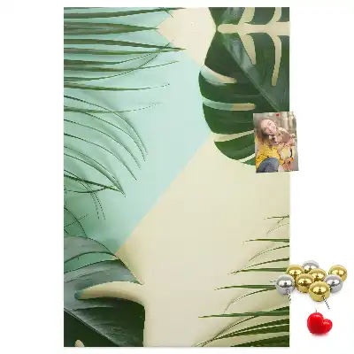 Nástenka Tropická monstera