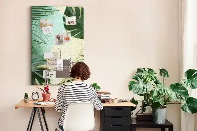 Nástenka Tropická monstera