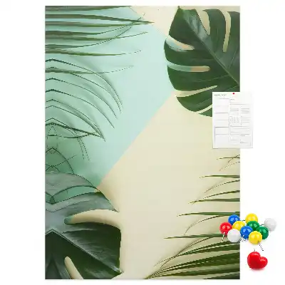 Nástenka Tropická monstera