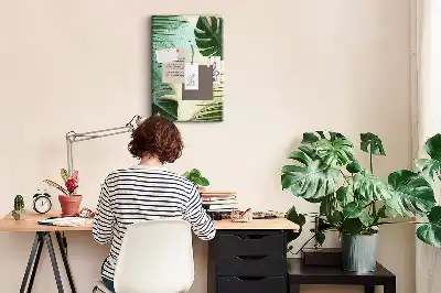 Nástenka Tropická monstera