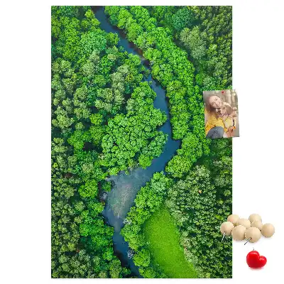 Korková tabuľa Lesný potok