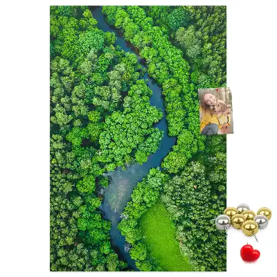 Korková tabuľa Lesný potok