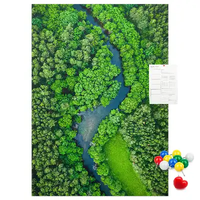 Korková tabuľa Lesný potok