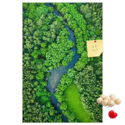 Korková tabuľa Lesný potok