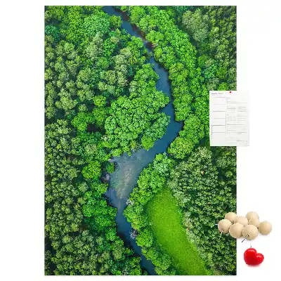 Korková tabuľa Lesný potok