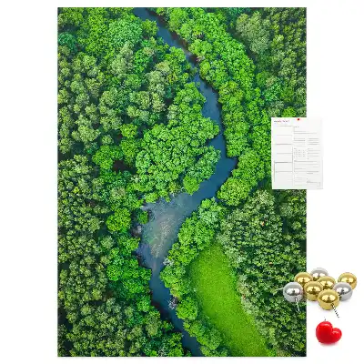 Korková tabuľa Lesný potok
