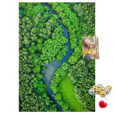 Korková tabuľa Lesný potok