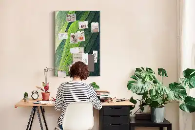 Korková tabuľa Prírodné krajinné línie