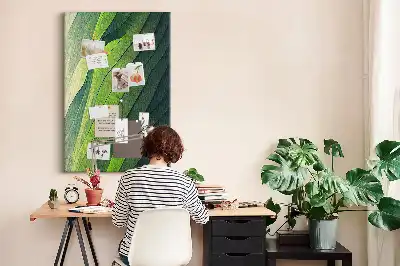 Korková tabuľa Prírodné krajinné línie
