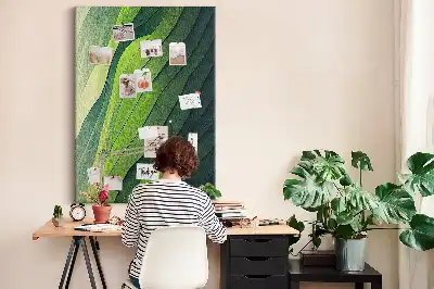 Korková tabuľa Prírodné krajinné línie