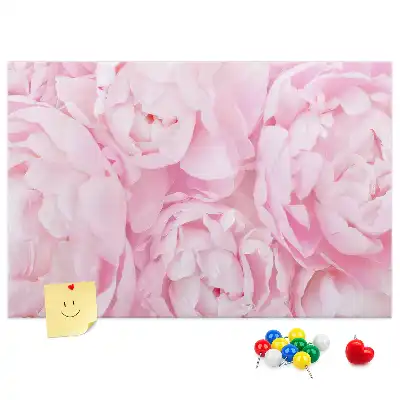 Korková nástenka s floristickým motívom rozkvetu