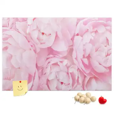 Korková nástenka s floristickým motívom rozkvetu