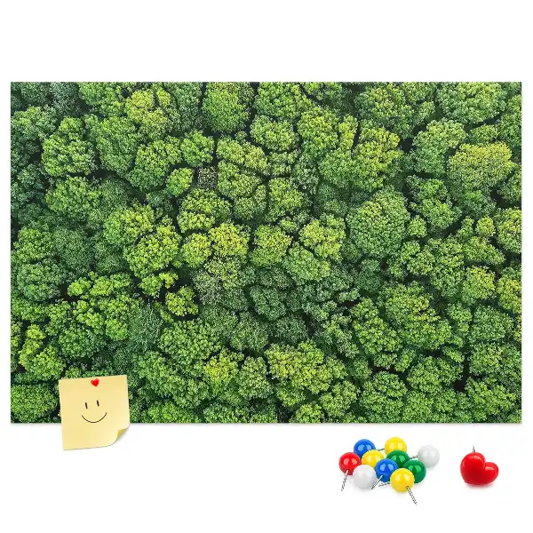 Korková nástenka Les z vtáčej perspektívy