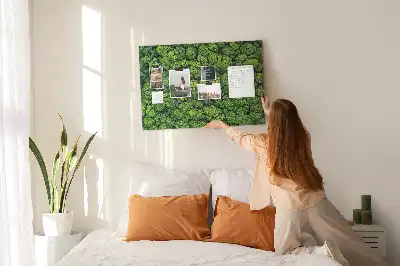 Korková nástenka Les z vtáčej perspektívy