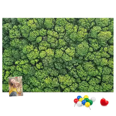 Korková nástenka Les z vtáčej perspektívy