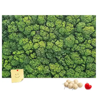 Korková nástenka Les z vtáčej perspektívy