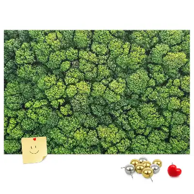 Korková nástenka Les z vtáčej perspektívy