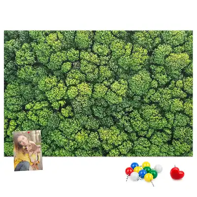 Korková nástenka Les z vtáčej perspektívy