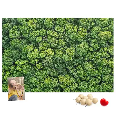 Korková nástenka Les z vtáčej perspektívy