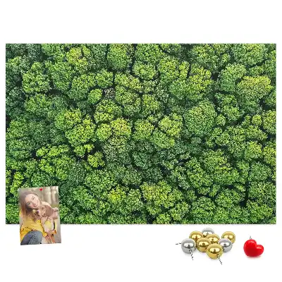 Korková nástenka Les z vtáčej perspektívy
