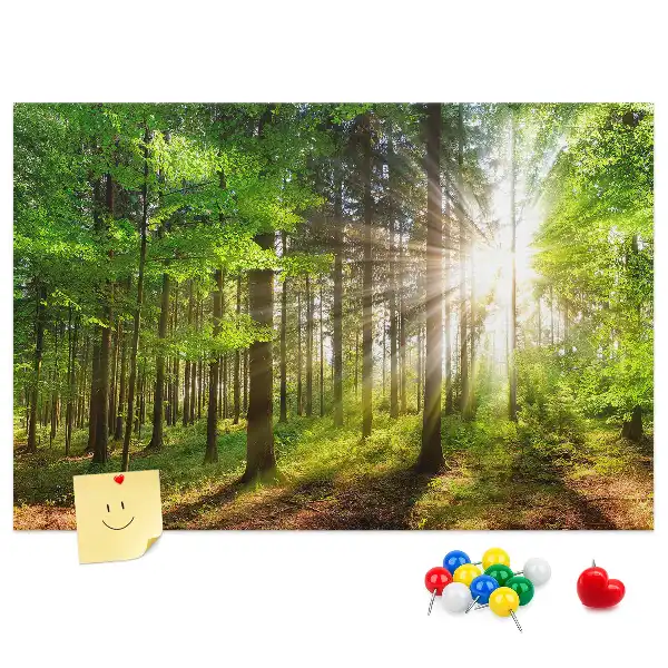 Nástenka do detskej izby S motívom lesa a východu slnka