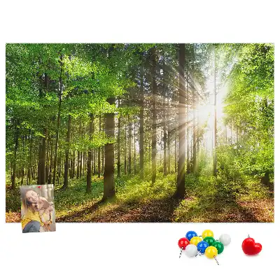 Nástenka do detskej izby S motívom lesa a východu slnka