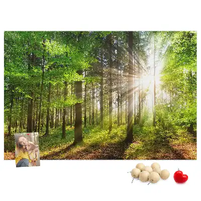 Nástenka do detskej izby S motívom lesa a východu slnka