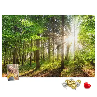 Nástenka do detskej izby S motívom lesa a východu slnka